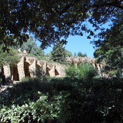 IMG 148